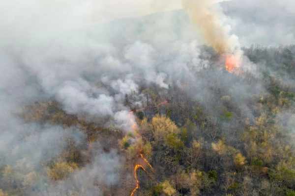 Wildfire Smoke & Solar Panels: What Owners Need to Know