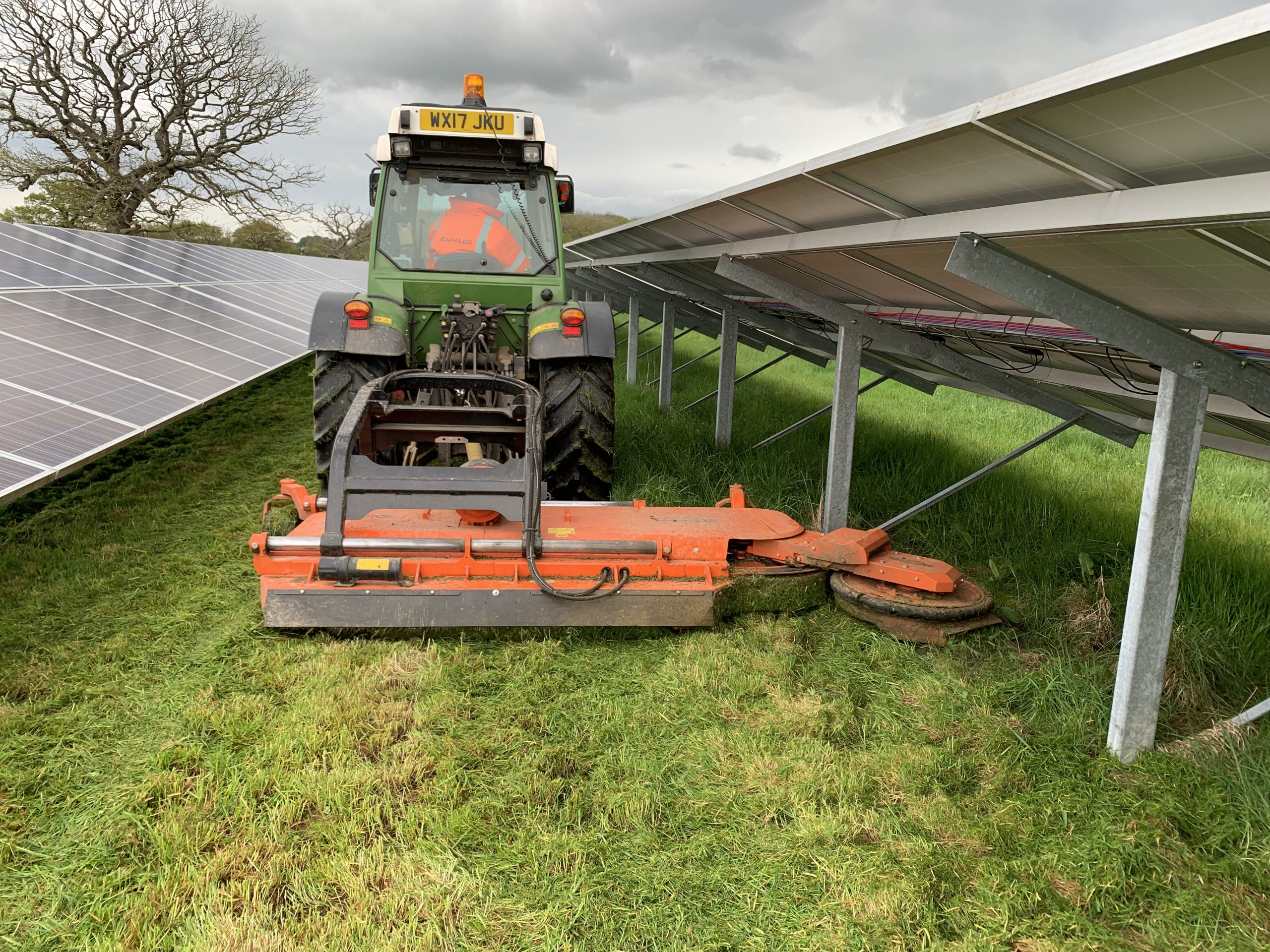 Sun Swing solar mower operating at a commercial solar farm - Every Detail Solar vegetation management